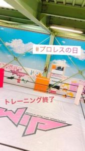 プロレスの日シャーク込山
